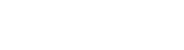 Birmingham Police Department Logo